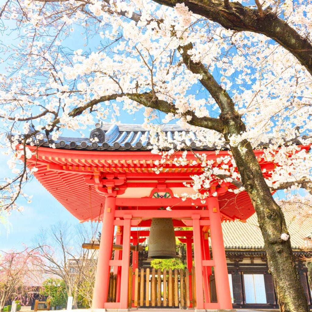 Japanese temple in the spring